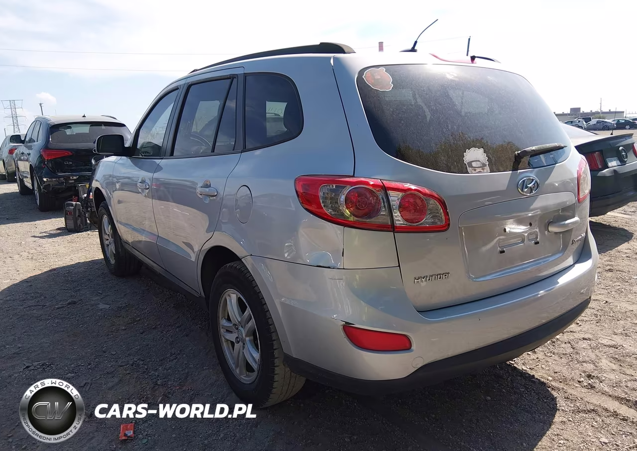 2010 Hyundai Santa Fe Gls VIN:5NMSG3AB3AH338127 - 3