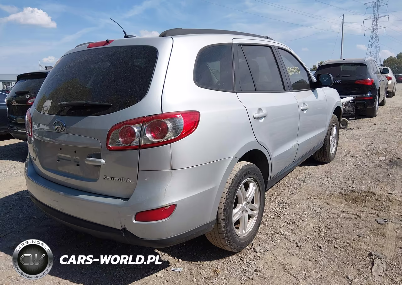 2010 Hyundai Santa Fe Gls VIN:5NMSG3AB3AH338127 - 4