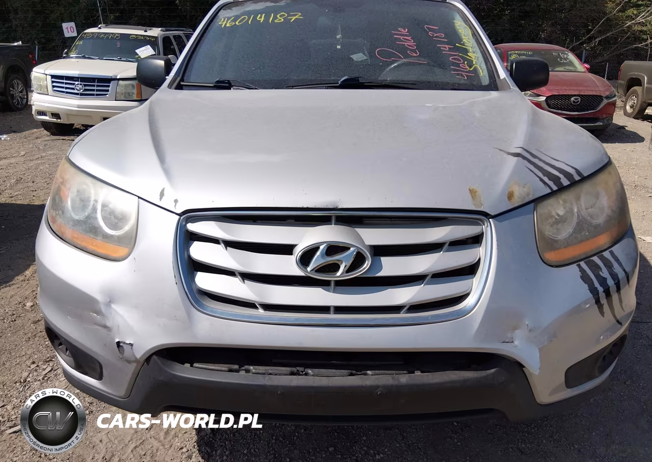 2010 Hyundai Santa Fe Gls VIN:5NMSG3AB3AH338127 - 6