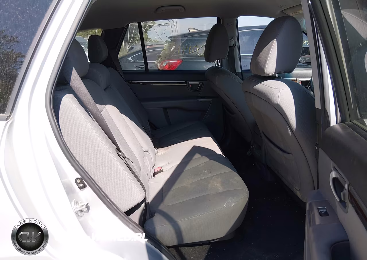 2010 Hyundai Santa Fe Gls VIN:5NMSG3AB3AH338127 - 8