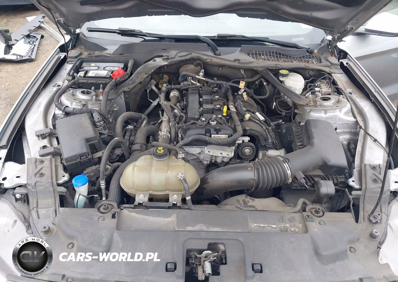 2021 Ford Mustang Ecoboost Premium VIN:1FATP8UHXM5120197 - 10