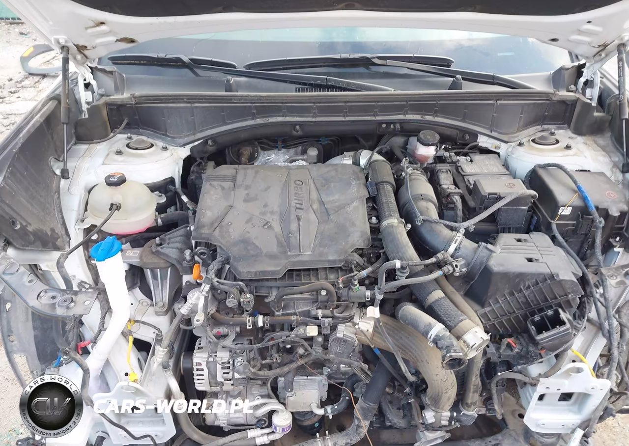 2024 Hyundai Santa Fe Sel VIN:5NMP24GL8RH056880 - 10
