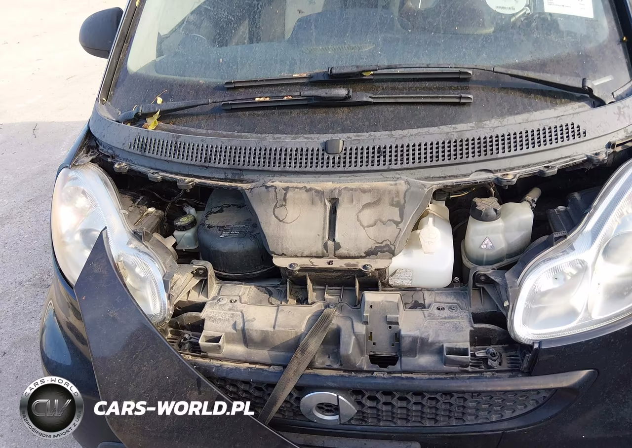 2015 Smart Fortwo Pure VIN:WMEEJ3BAXFK816979 - 10