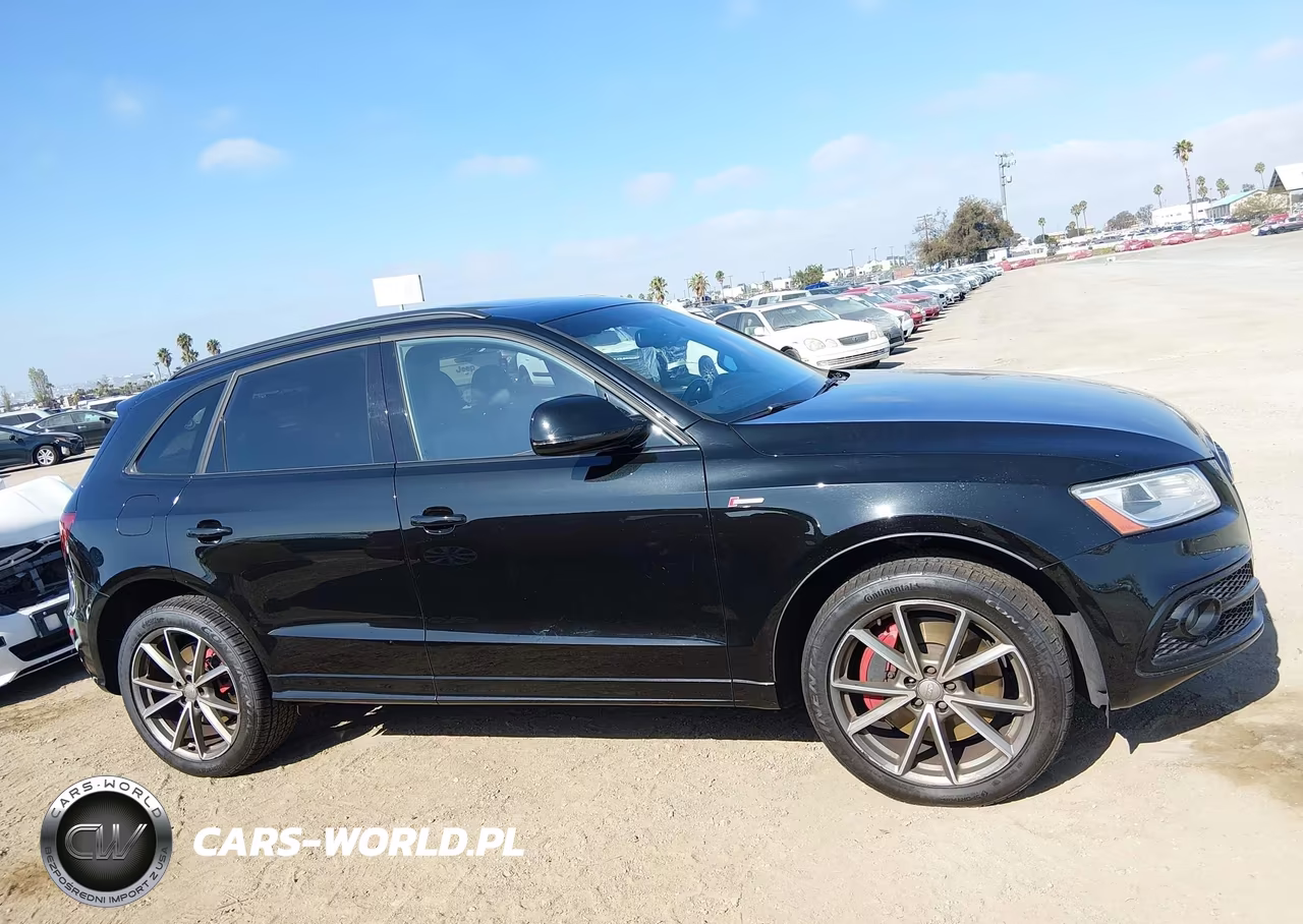2016 Audi Sq5 3.0T Premium Plus VIN:WA1CCAFP7GA014863 - 13