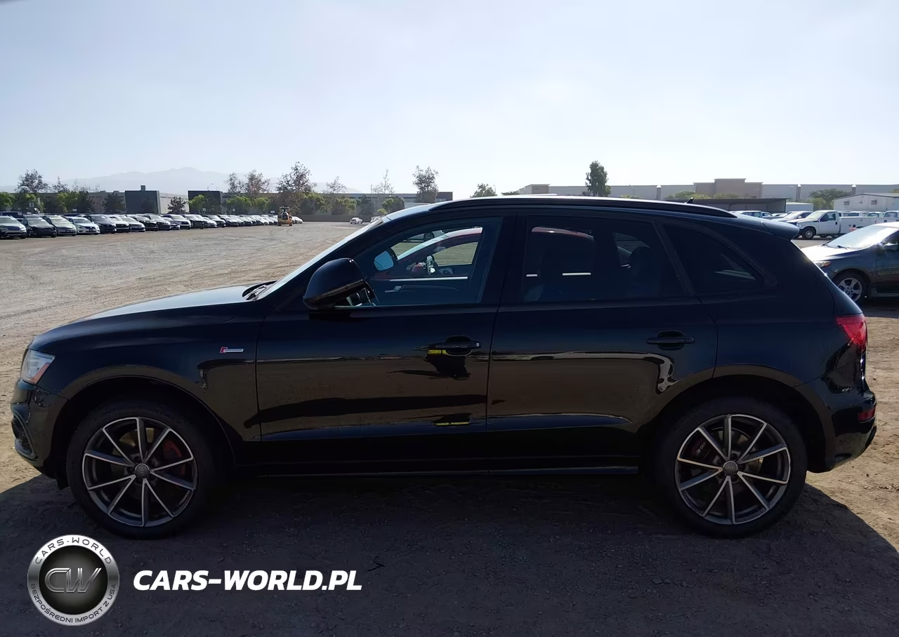 2016 Audi Sq5 3.0T Premium Plus VIN:WA1CCAFP7GA014863 - 14