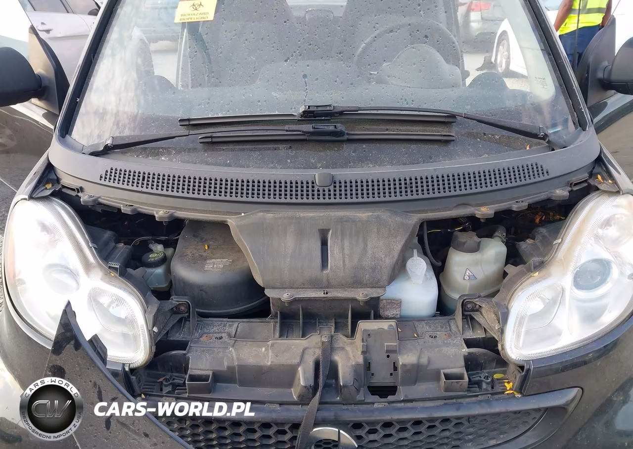 2015 Smart Fortwo Pure VIN:WMEEJ3BA2FK820458 - 10
