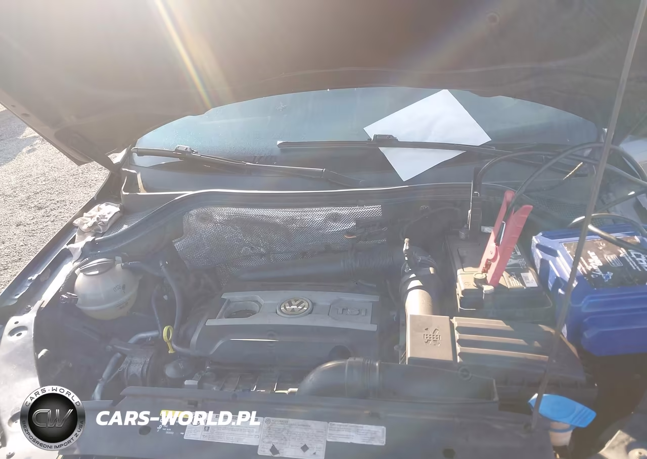 2015 Volkswagen Tiguan S VIN:WVGAV7AX7FW501236 - 10