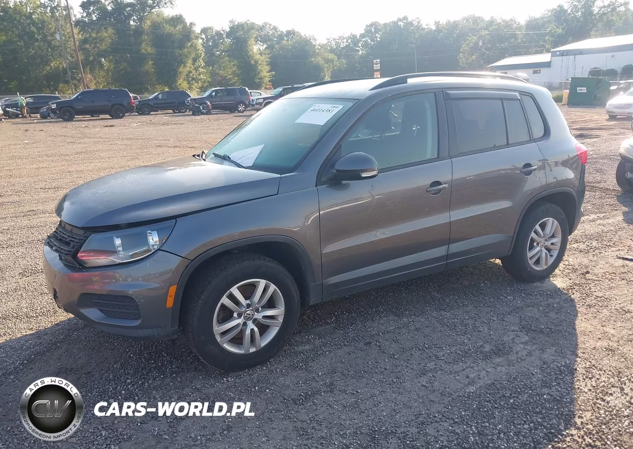 2015 Volkswagen Tiguan S VIN:WVGAV7AX7FW501236 - 2