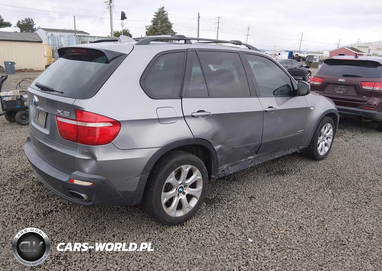 2009 BMW X5 xDrive48I VIN:5UXFE83519L171447 - 4