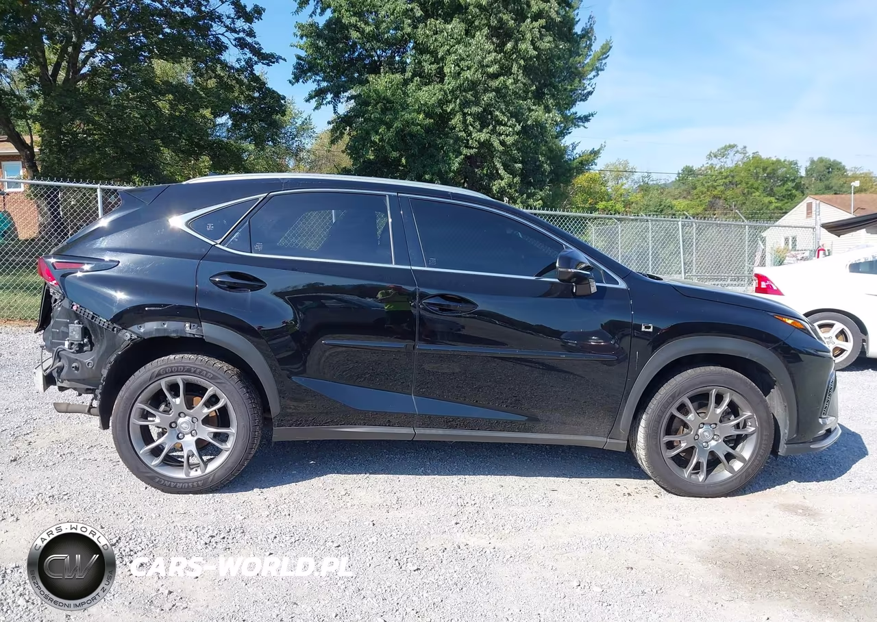 2018 Lexus Nx 300 F Sport VIN:JTJBARBZ8J2171281 - 13