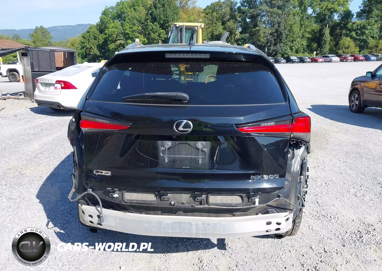 2018 Lexus Nx 300 F Sport VIN:JTJBARBZ8J2171281 - 16