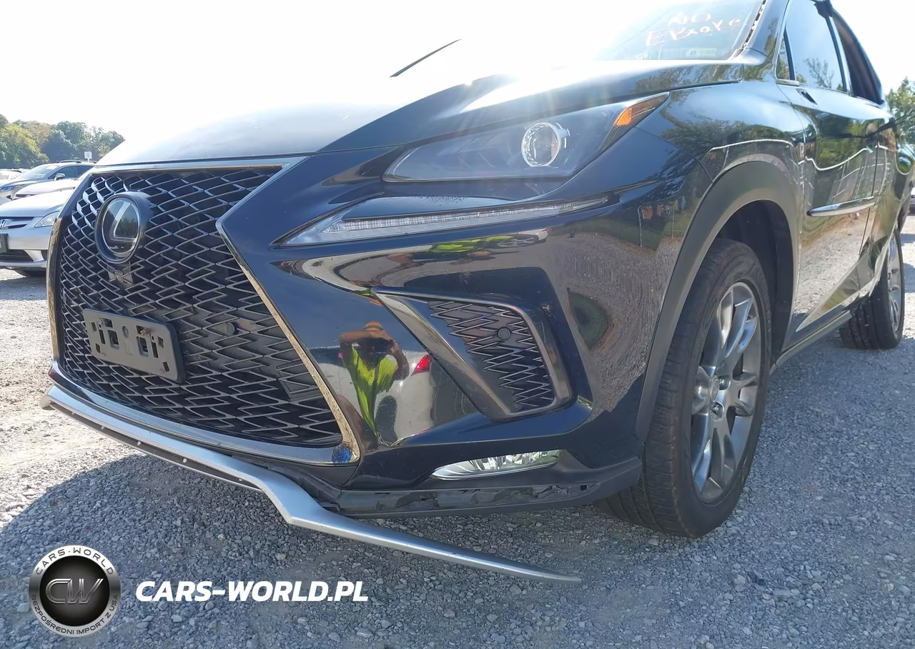 2018 Lexus Nx 300 F Sport VIN:JTJBARBZ8J2171281 - 20