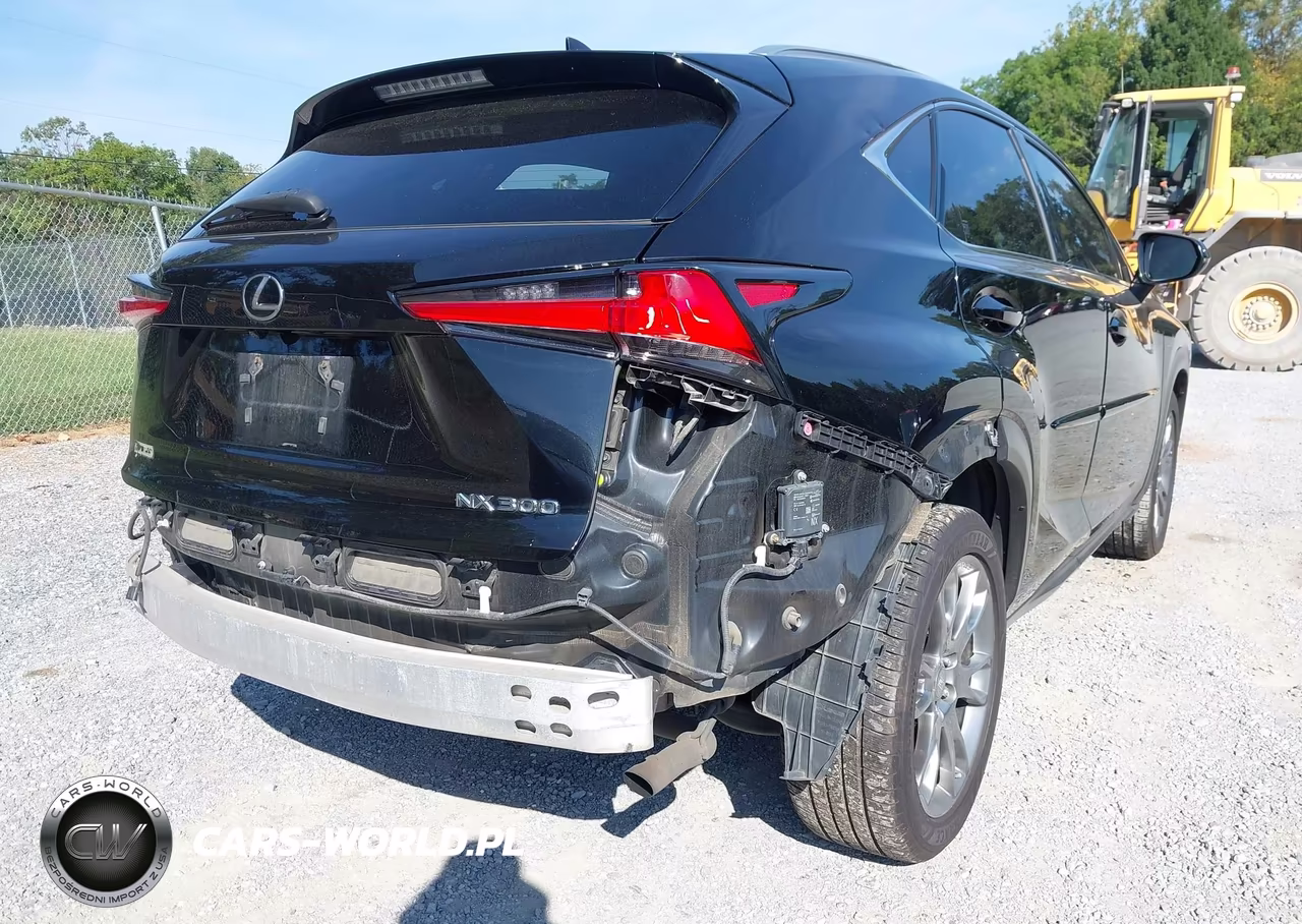 2018 Lexus Nx 300 F Sport VIN:JTJBARBZ8J2171281 - 21