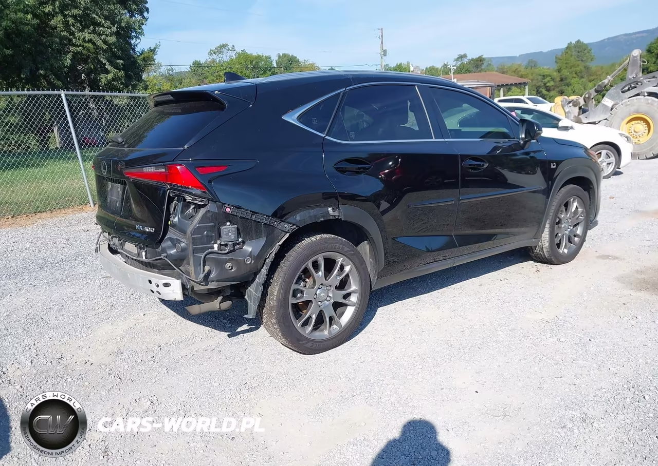 2018 Lexus Nx 300 F Sport VIN:JTJBARBZ8J2171281 - 4