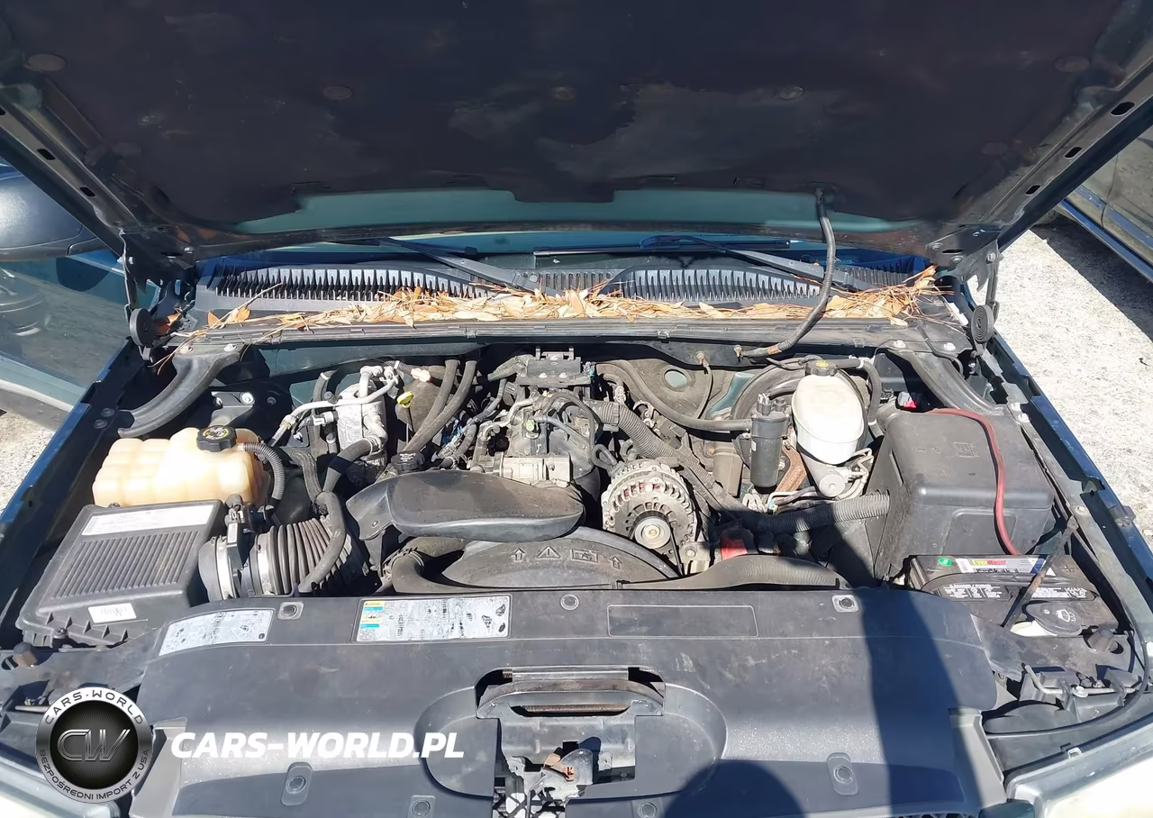 2004 Chevrolet Silverado 1500 Ls VIN:2GCEC19V141112821 - 10