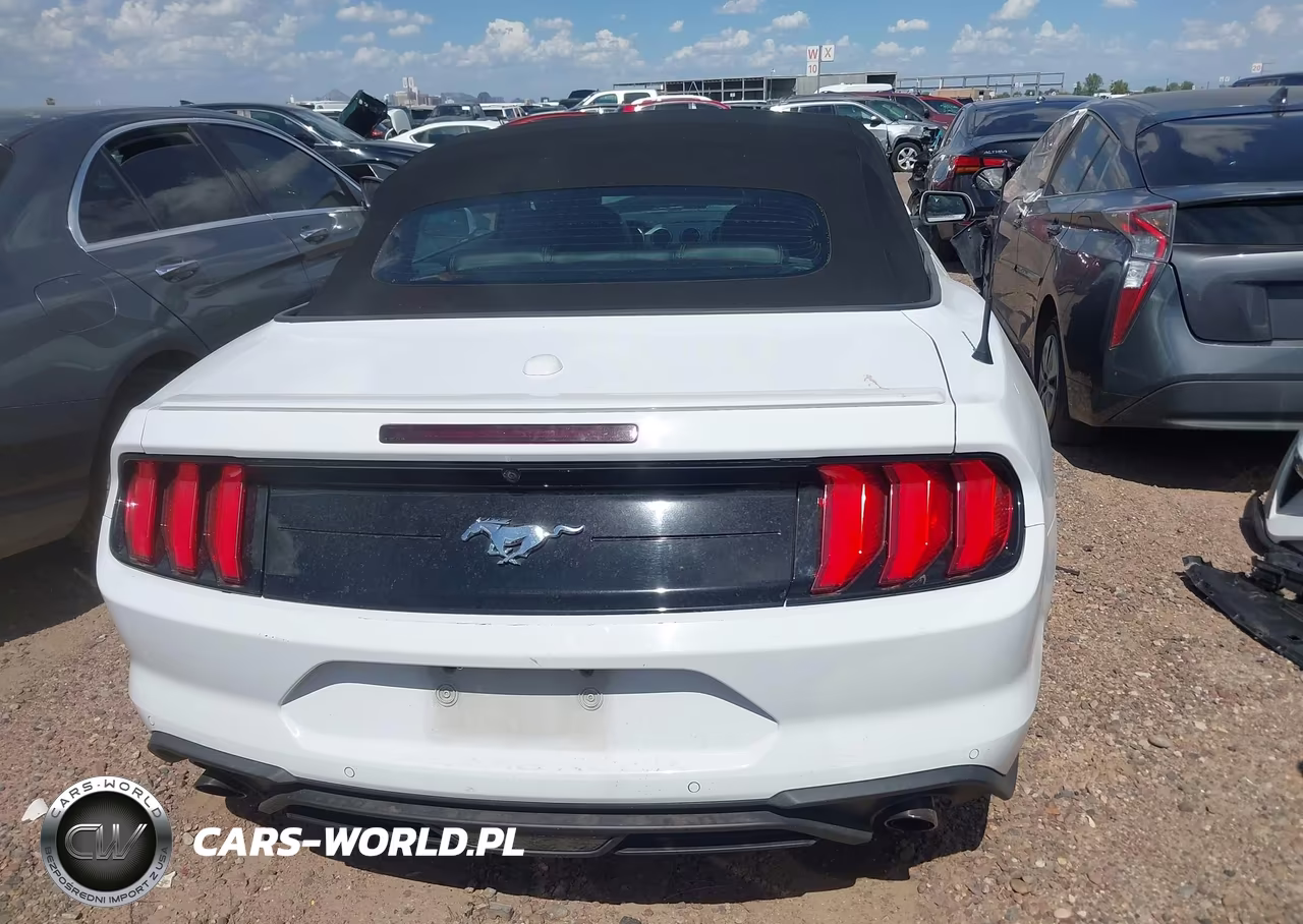 2023 Ford Mustang Ecoboost Premium VIN:1FATP8UH3P5111569 - 17