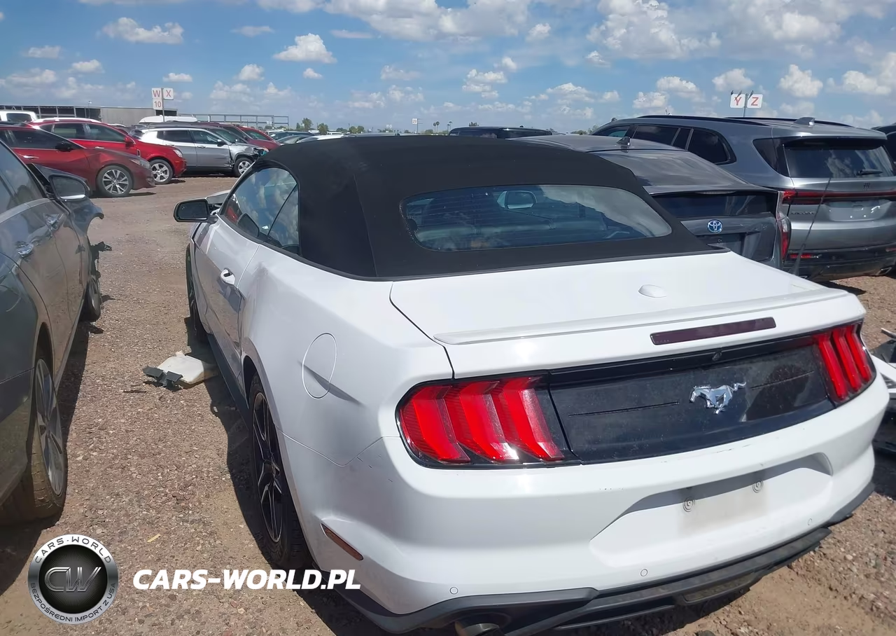 2023 Ford Mustang Ecoboost Premium VIN:1FATP8UH3P5111569 - 3