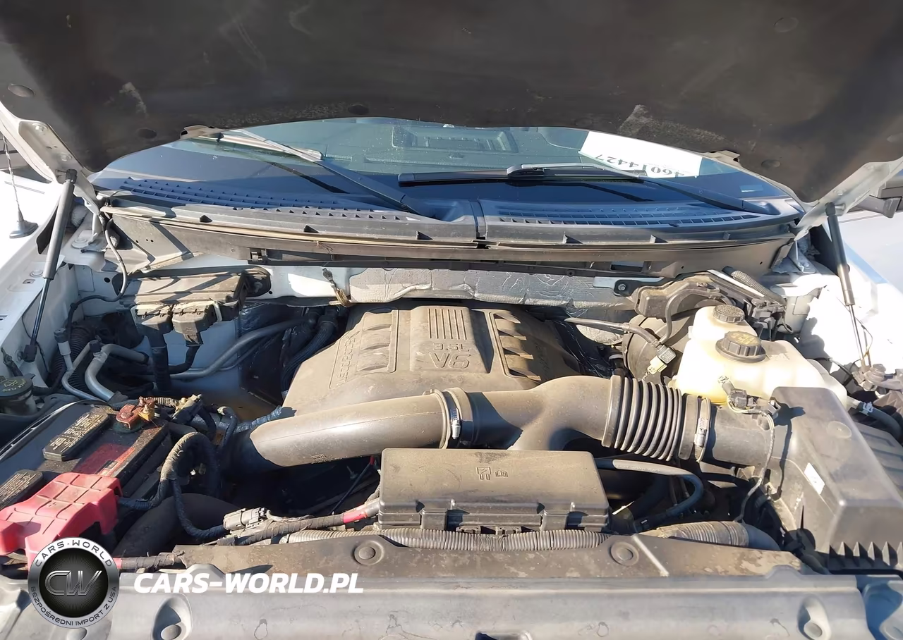 2013 Ford F-150 Platinum VIN:1FTFW1ET5DFC45493 - 10
