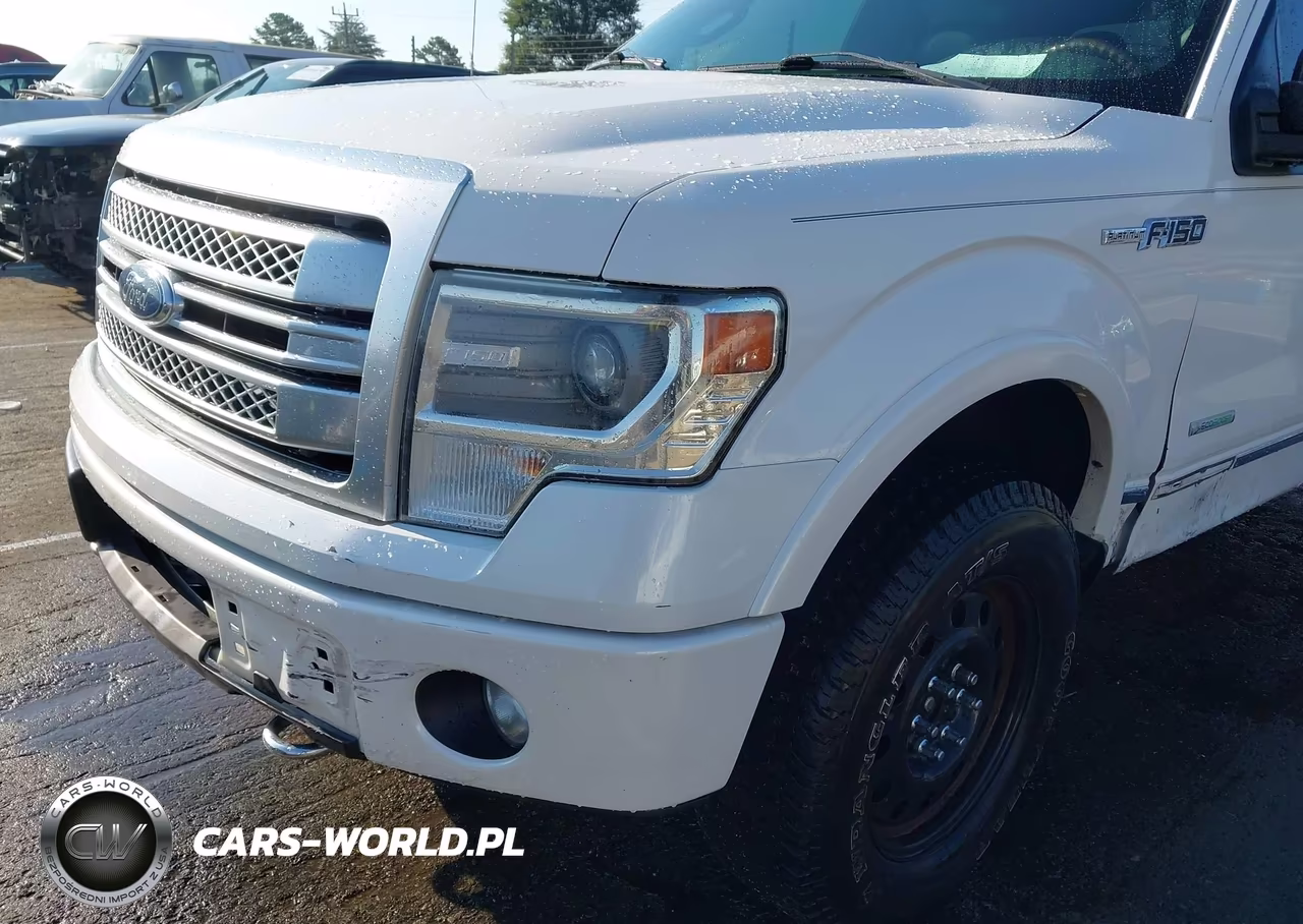 2013 Ford F-150 Platinum VIN:1FTFW1ET5DFC45493 - 17