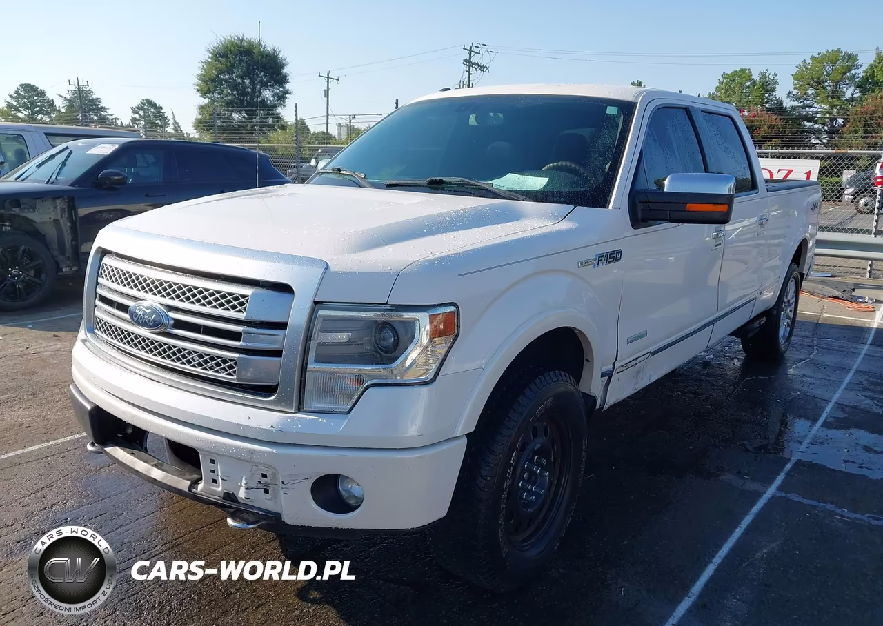 2013 Ford F-150 Platinum VIN:1FTFW1ET5DFC45493 - 2