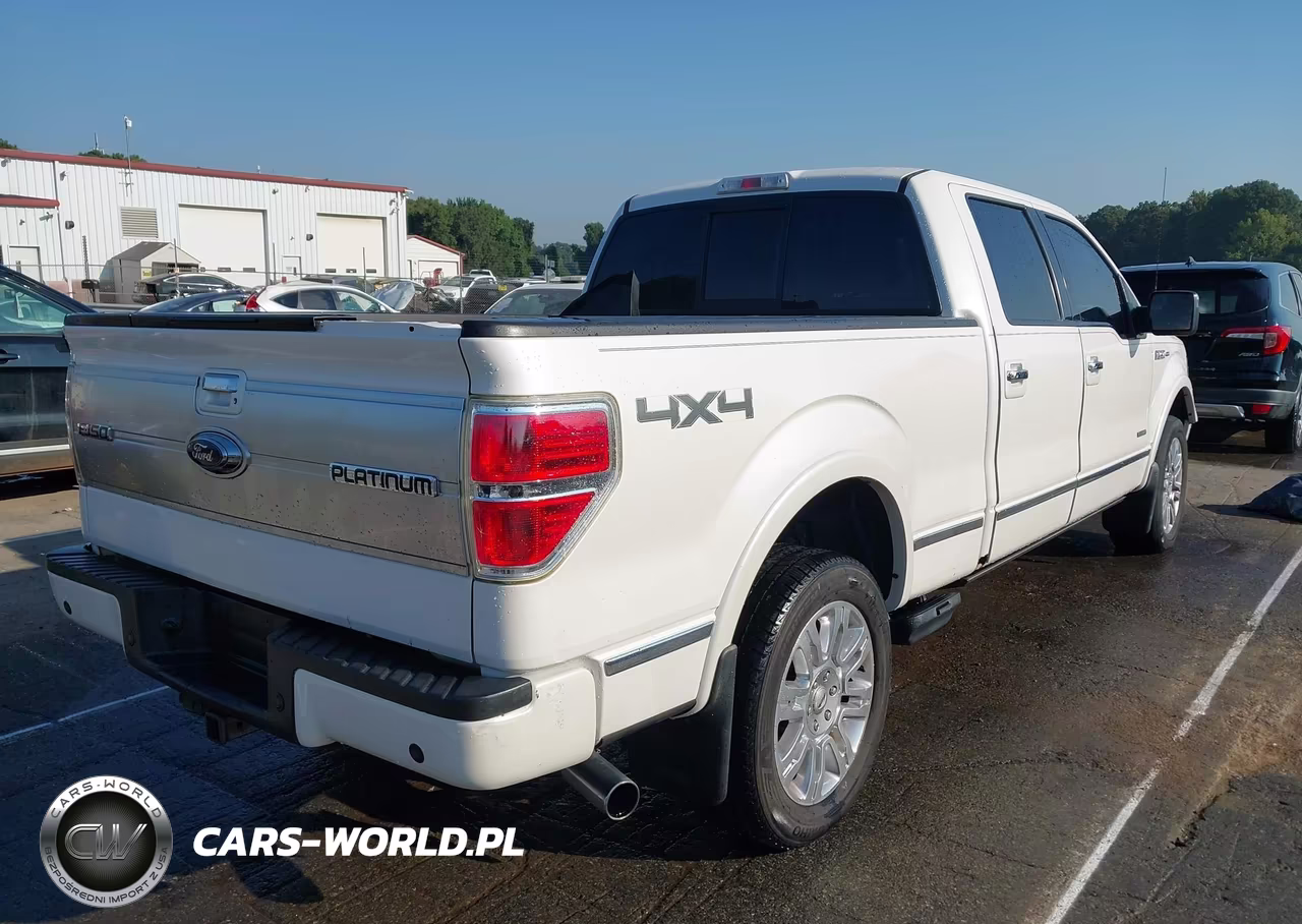 2013 Ford F-150 Platinum VIN:1FTFW1ET5DFC45493 - 4