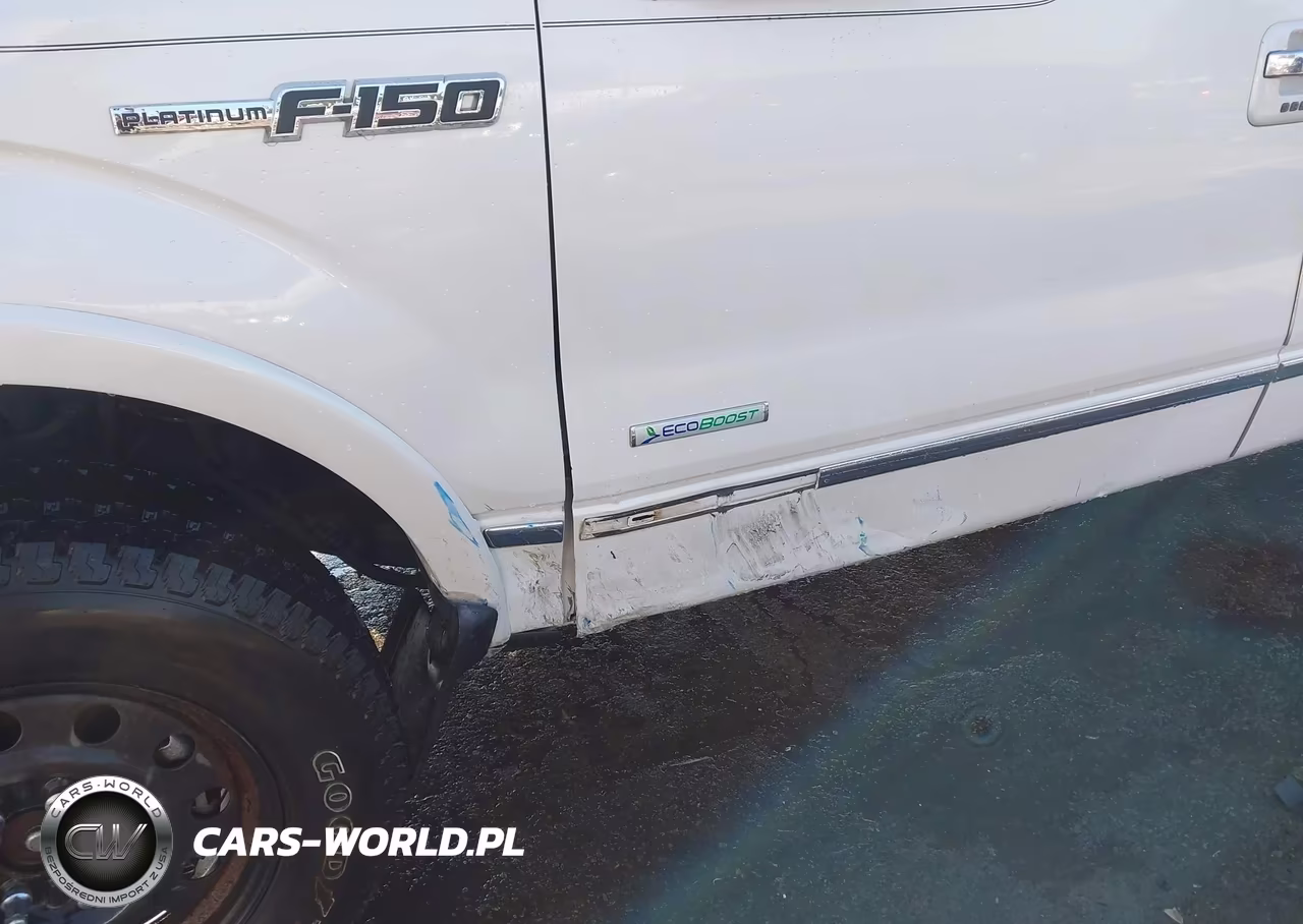 2013 Ford F-150 Platinum VIN:1FTFW1ET5DFC45493 - 6