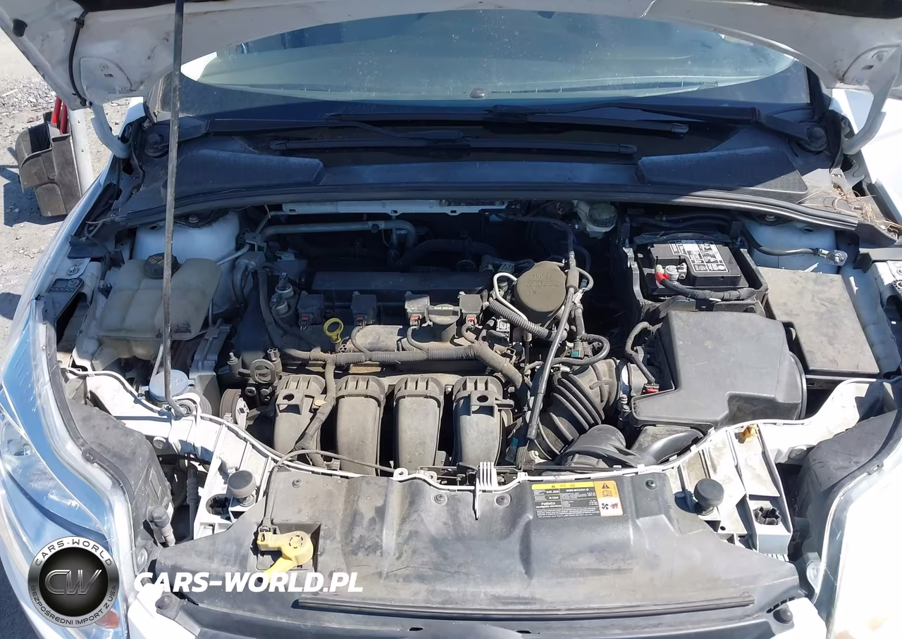 2014 Ford Focus Se VIN:1FADP3F25EL103627 - 10