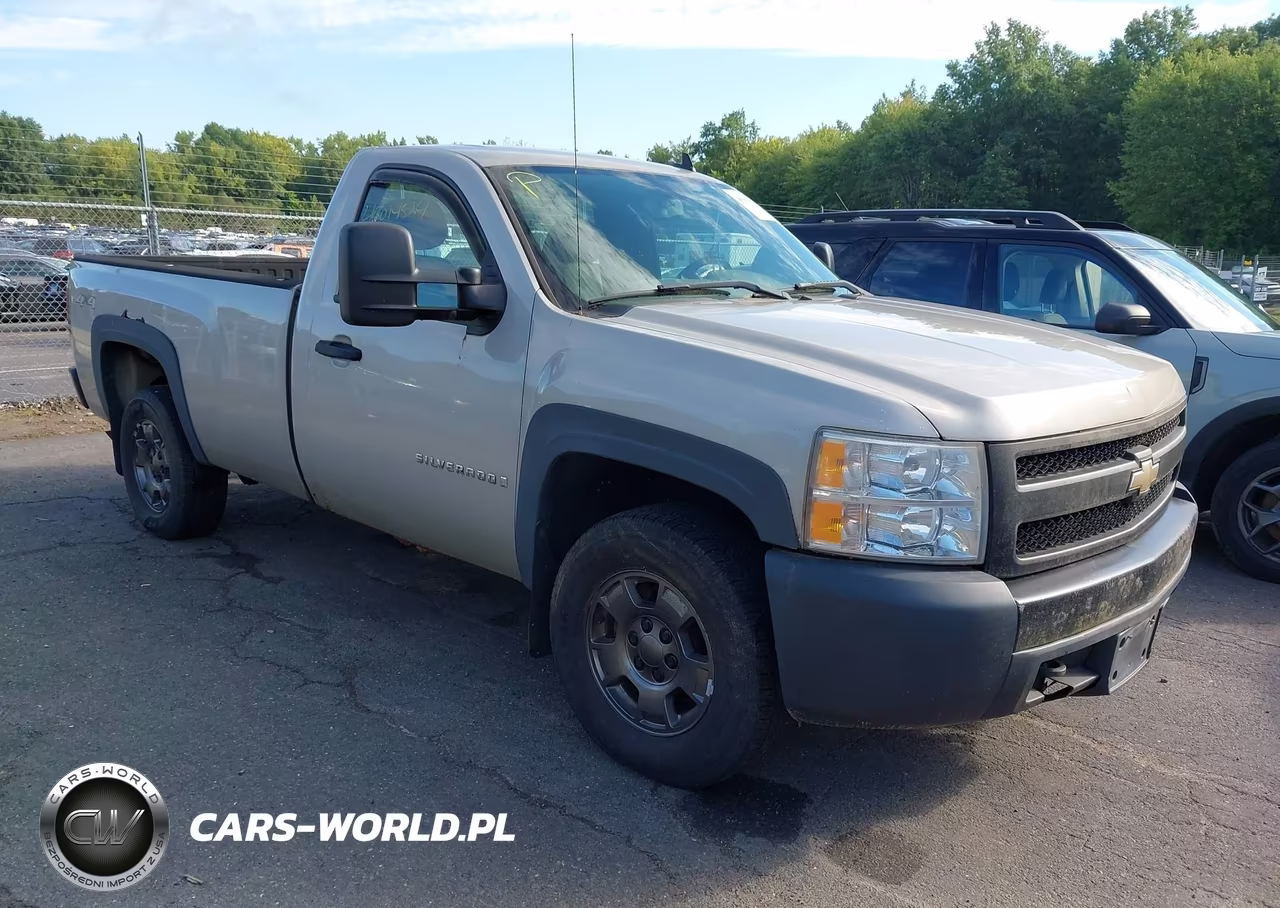 2008 Chevrolet Silverado 1500 Work Truck