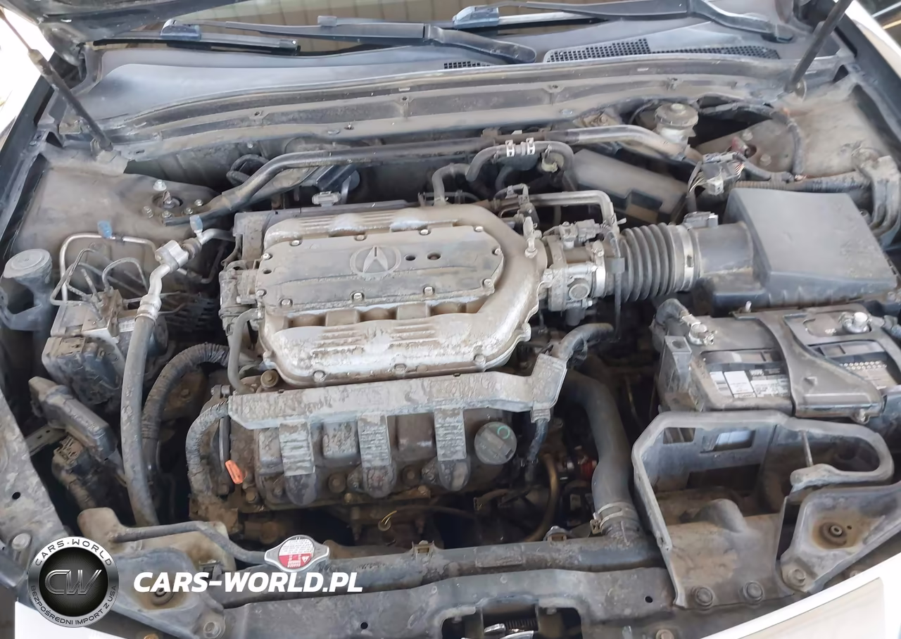 2009 Acura Tl 3.5 VIN:19UUA86539A008800 - 10