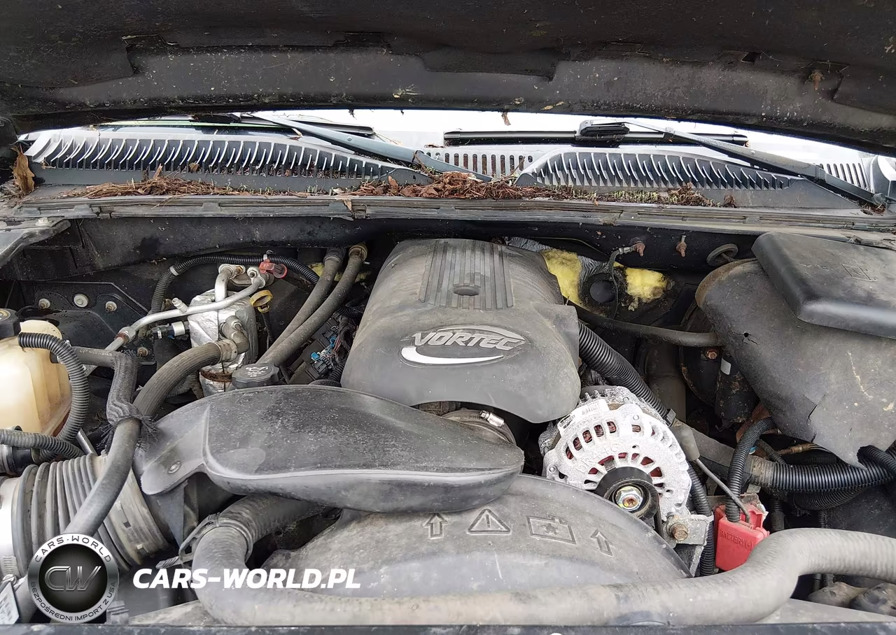 2003 Chevrolet Silverado 1500 Ls VIN:1GCEK14VX3Z318638 - 10
