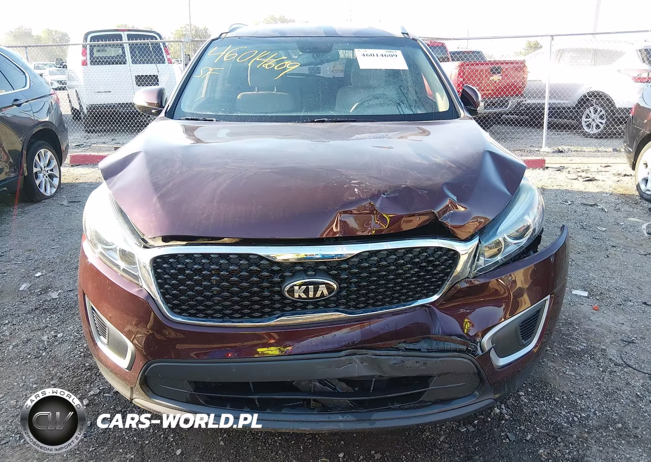 2017 Kia Sorento 3.3L Lx VIN:5XYPGDA50HG301501 - 12