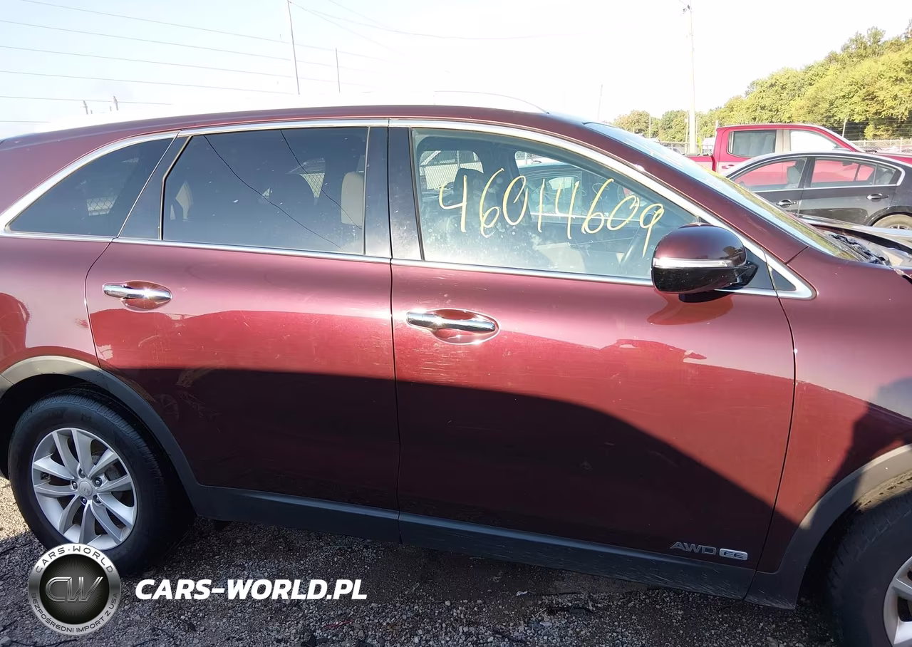 2017 Kia Sorento 3.3L Lx VIN:5XYPGDA50HG301501 - 13