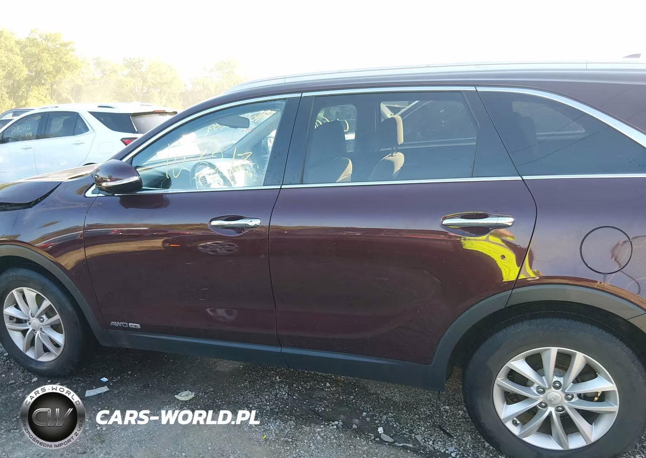 2017 Kia Sorento 3.3L Lx VIN:5XYPGDA50HG301501 - 14