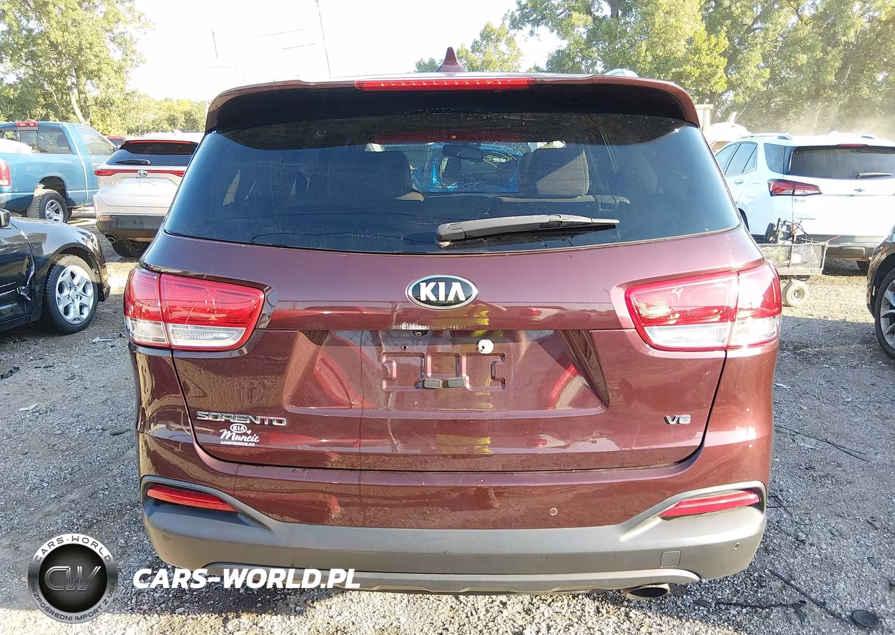 2017 Kia Sorento 3.3L Lx VIN:5XYPGDA50HG301501 - 16