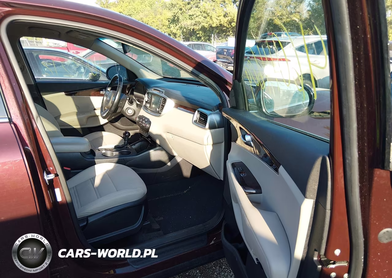 2017 Kia Sorento 3.3L Lx VIN:5XYPGDA50HG301501 - 5