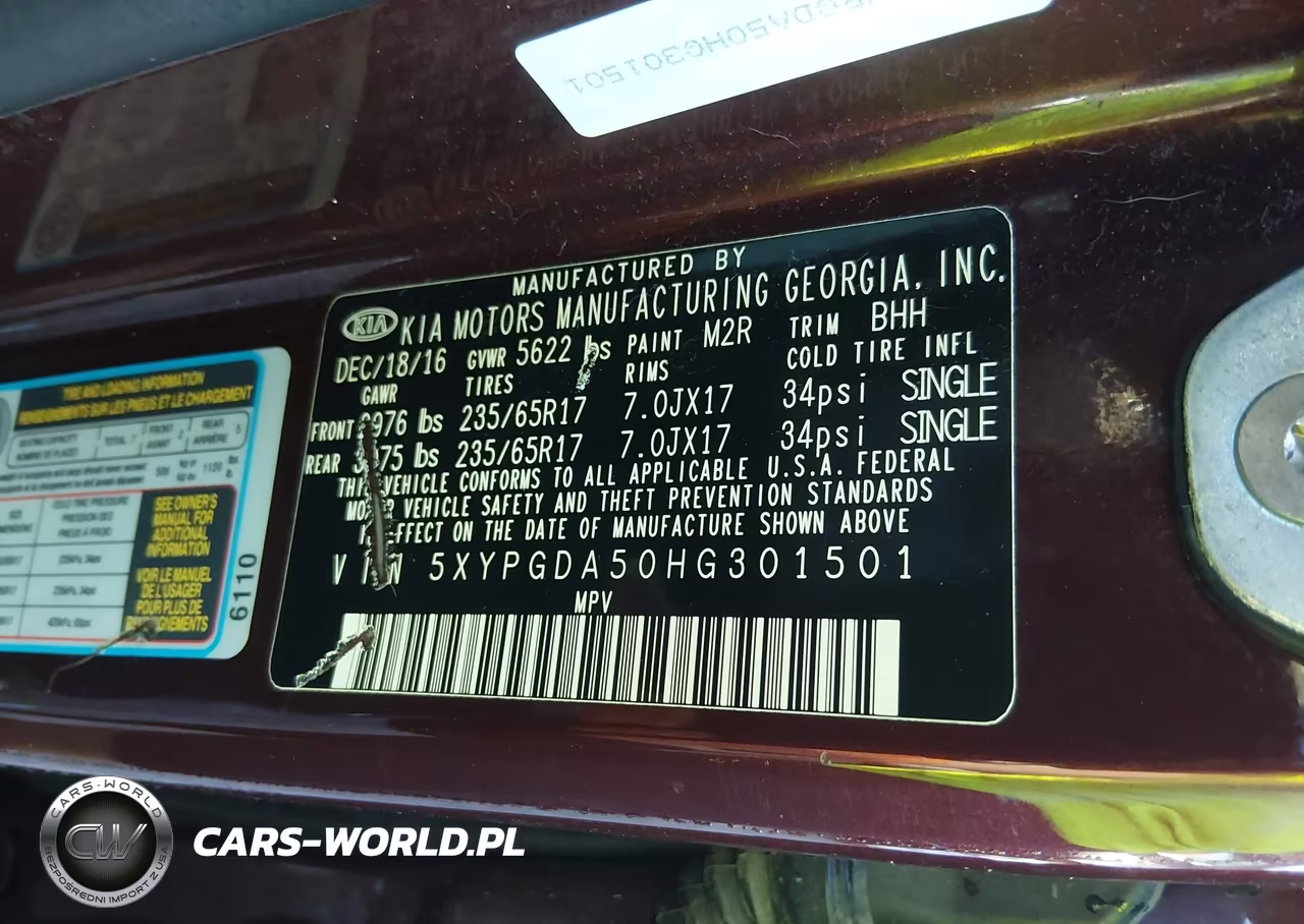 2017 Kia Sorento 3.3L Lx VIN:5XYPGDA50HG301501 - 9