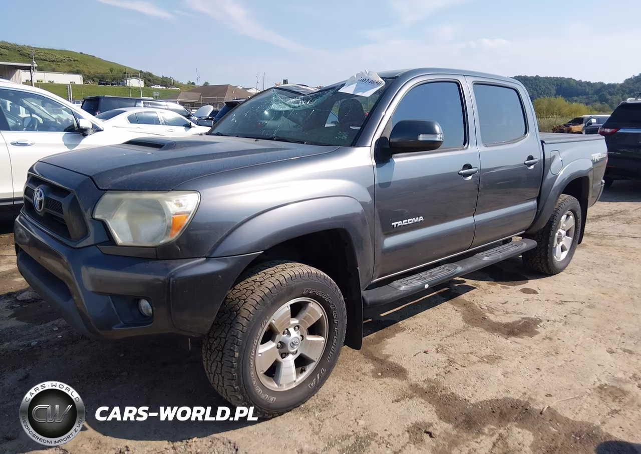 2014 Toyota Tacoma Base V6 VIN:5TFLU4EN9EX094925 - 2