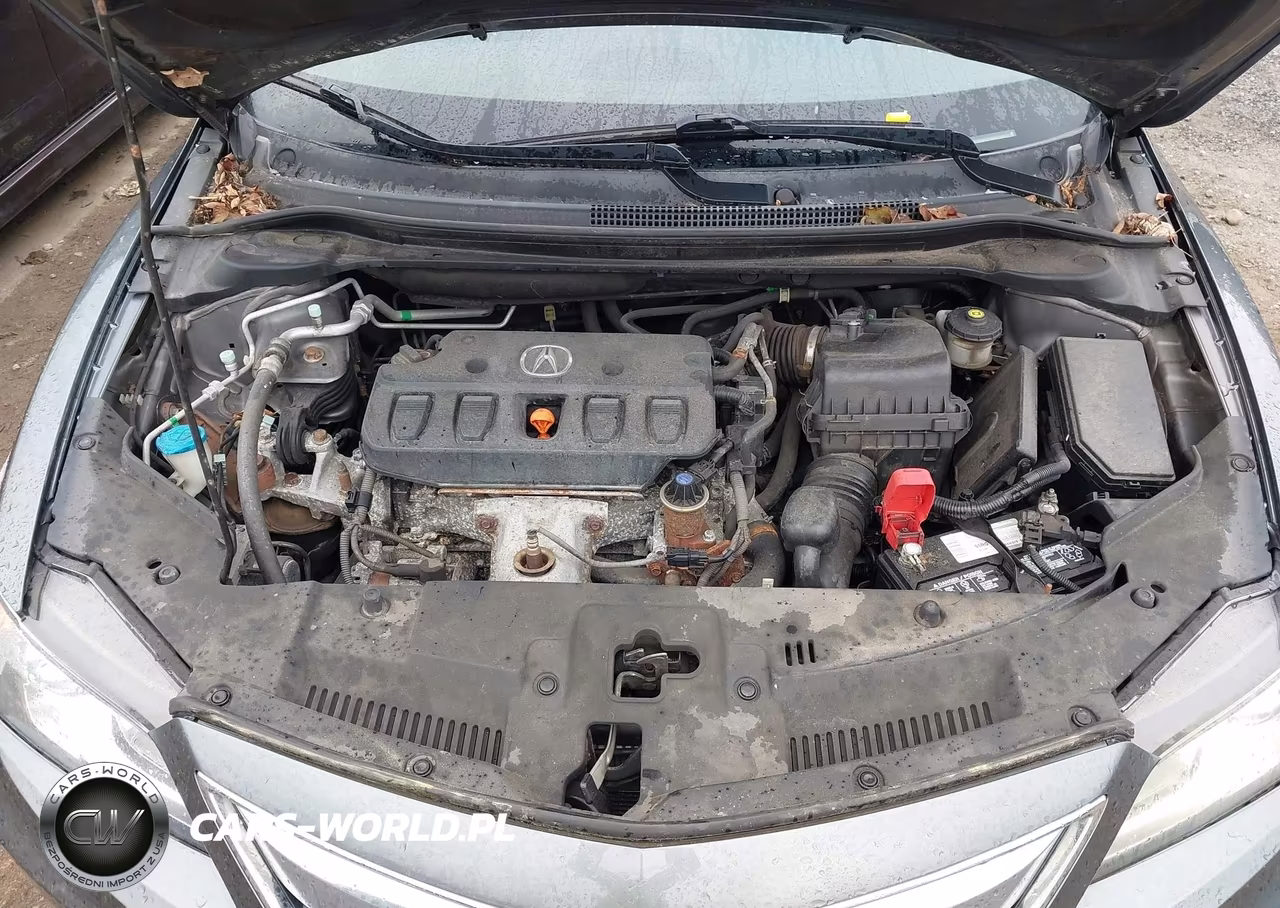 2013 Acura Ilx 2.0L VIN:19VDE1F58DE016528 - 10