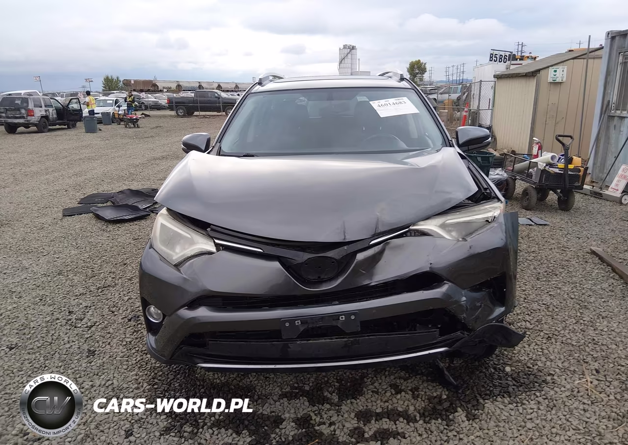 2016 Toyota Rav4 Hybrid Xle VIN:JTMRJREV4GD041179 - 12