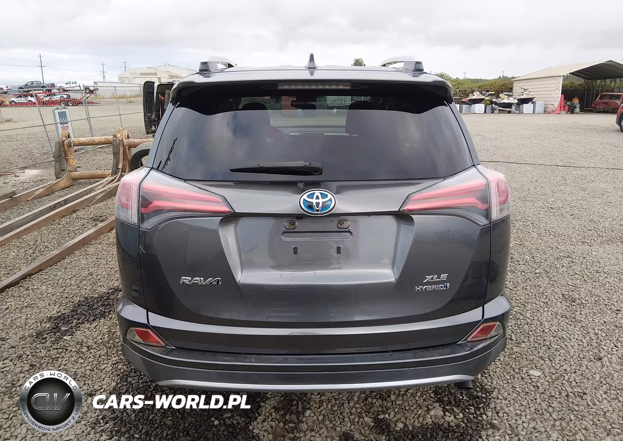 2016 Toyota Rav4 Hybrid Xle VIN:JTMRJREV4GD041179 - 16