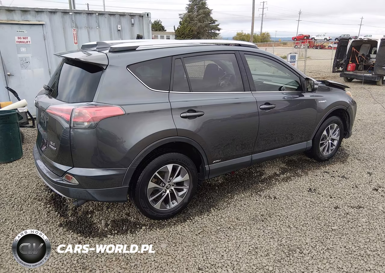 2016 Toyota Rav4 Hybrid Xle VIN:JTMRJREV4GD041179 - 4