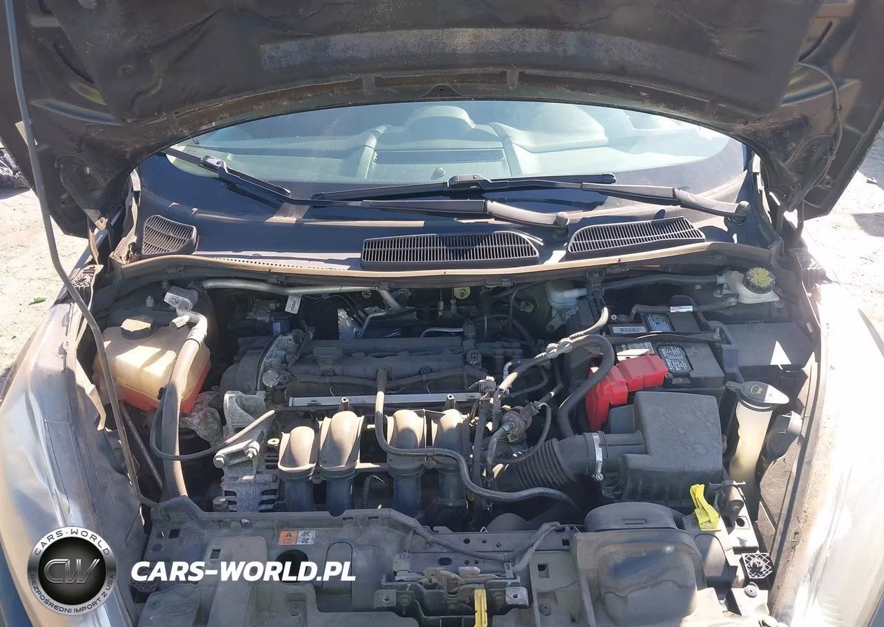2015 Ford Fiesta Se VIN:3FADP4BJ4FM163563 - 10