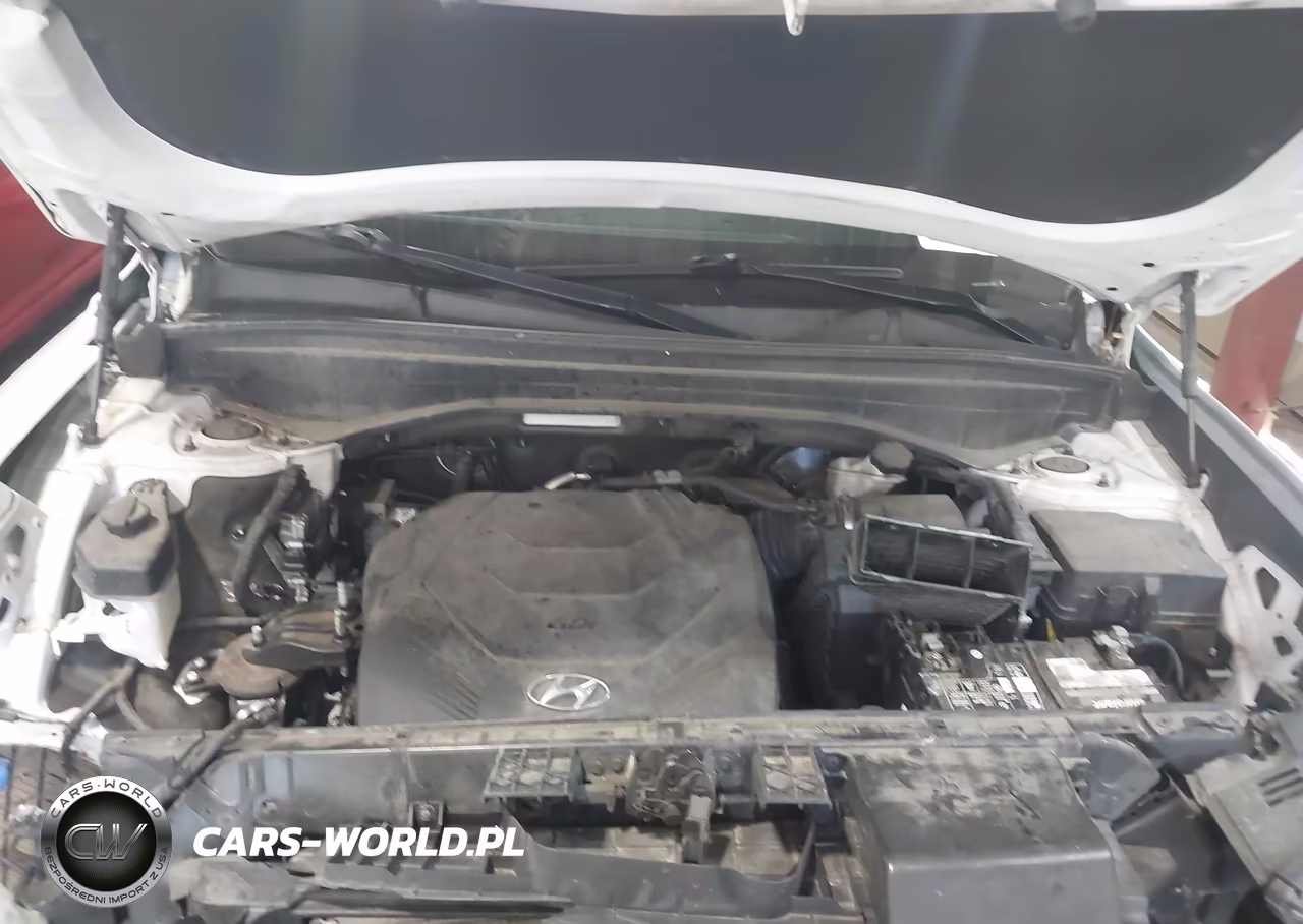 2021 Hyundai Palisade Sel VIN:KM8R34HE8MU281660 - 10
