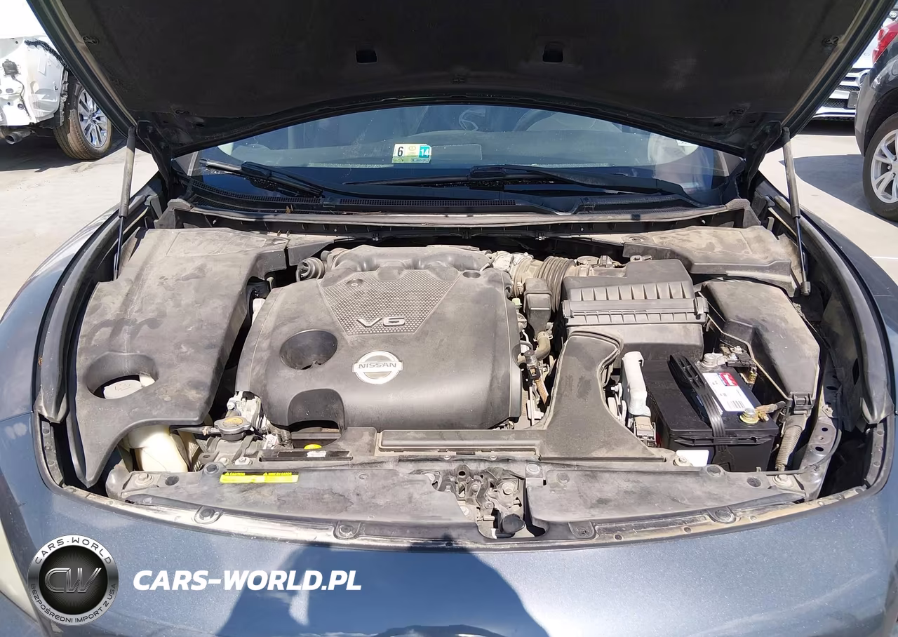 2010 Nissan Maxima 3.5 Sv VIN:1N4AA5APXAC842117 - 10