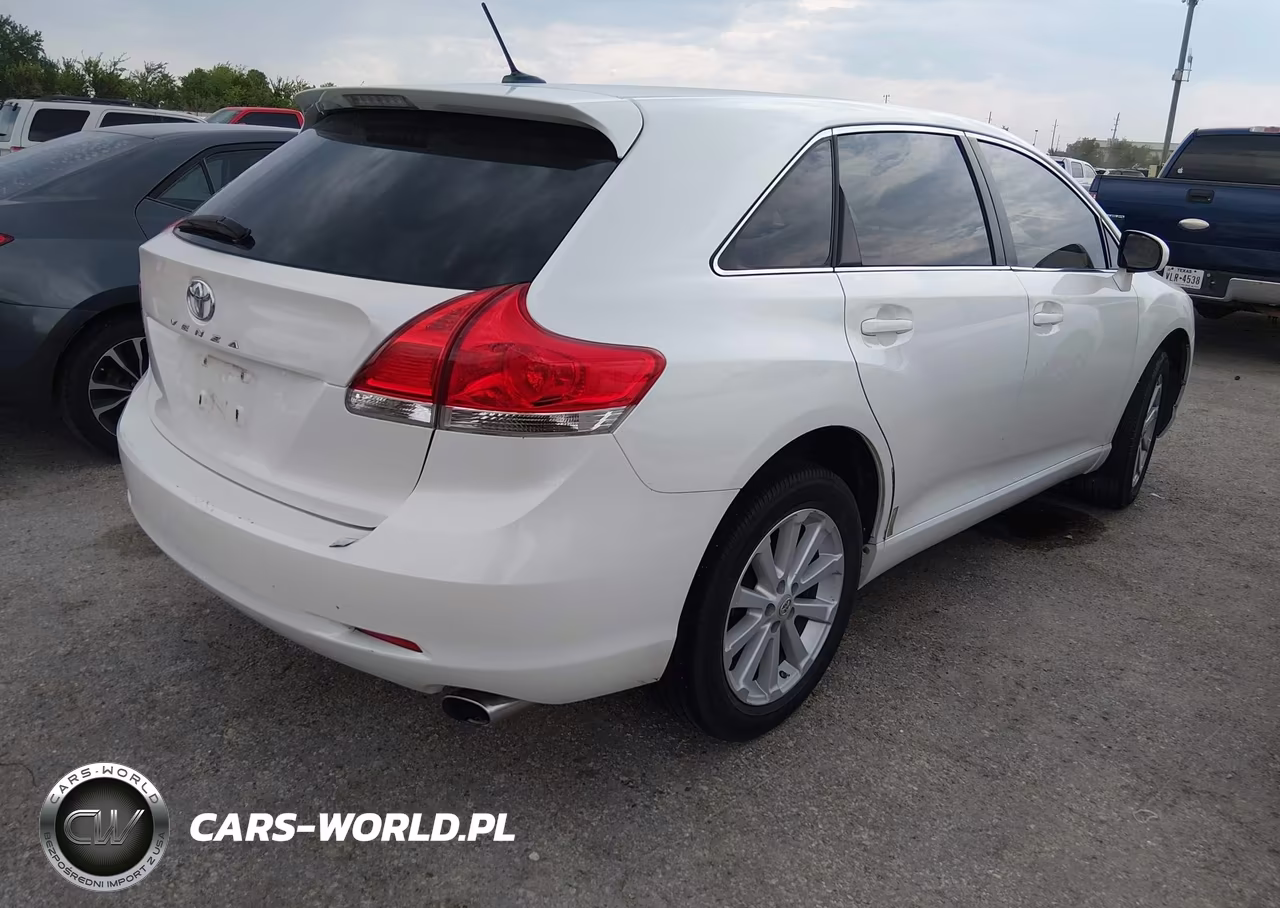 2009 Toyota Venza VIN:4T3ZE11A99U007205 - 4
