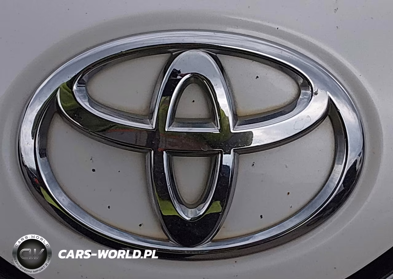 2009 Toyota Venza VIN:4T3ZE11A99U007205 - 6