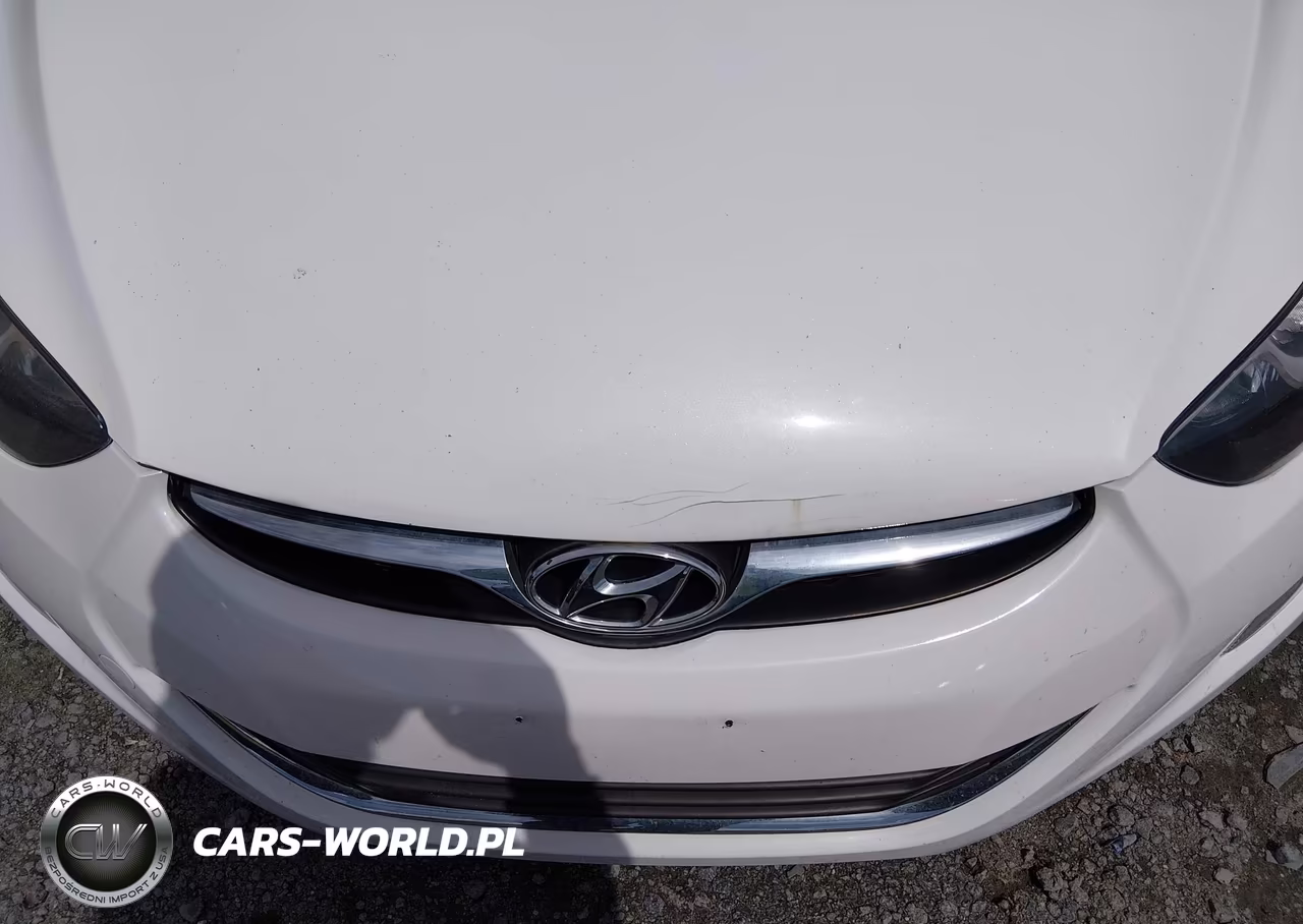 2013 Hyundai Elantra Gls VIN:5NPDH4AE0DH409054 - 14