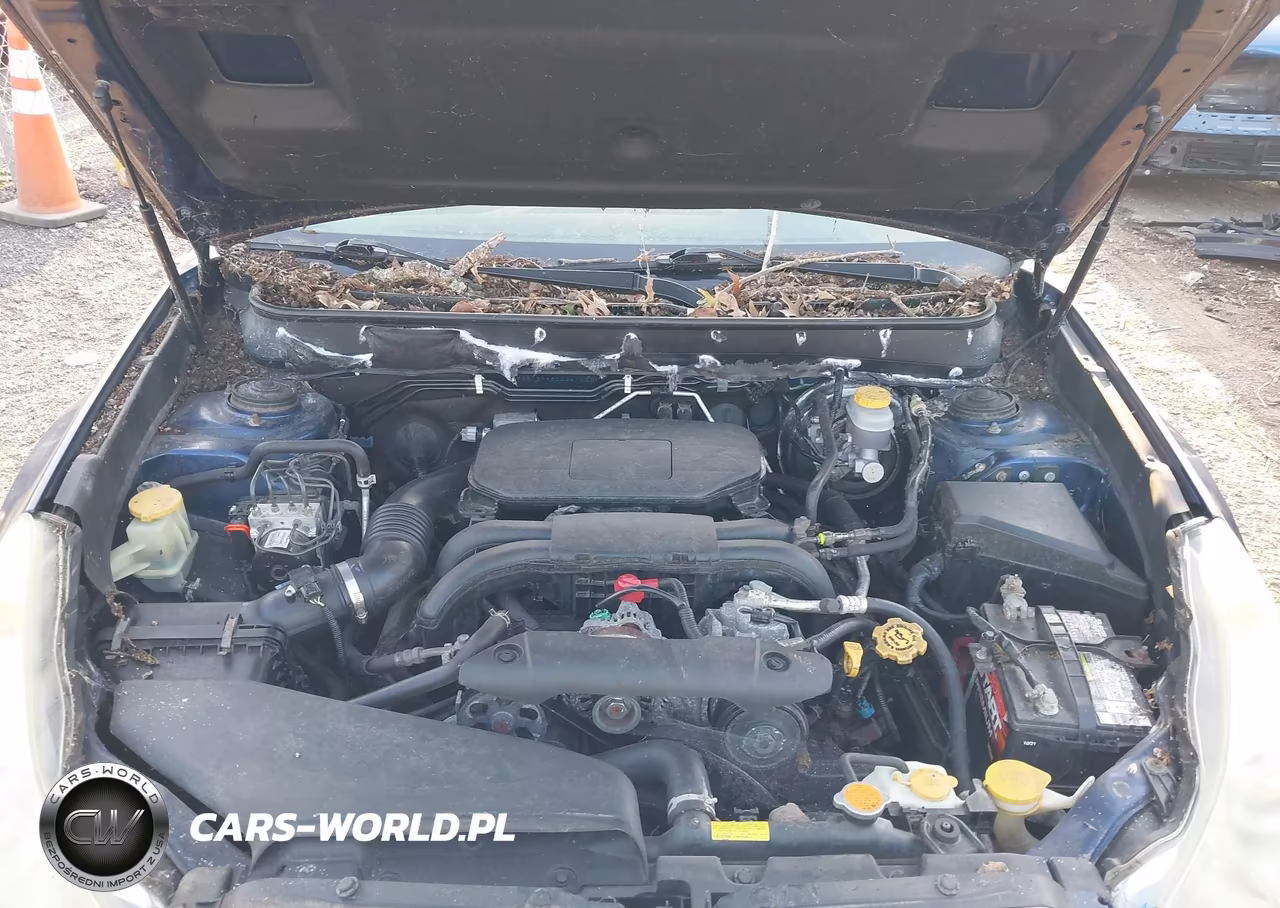 2011 Subaru Legacy 2.5I Premium VIN:4S3BMBH65B3241233 - 10