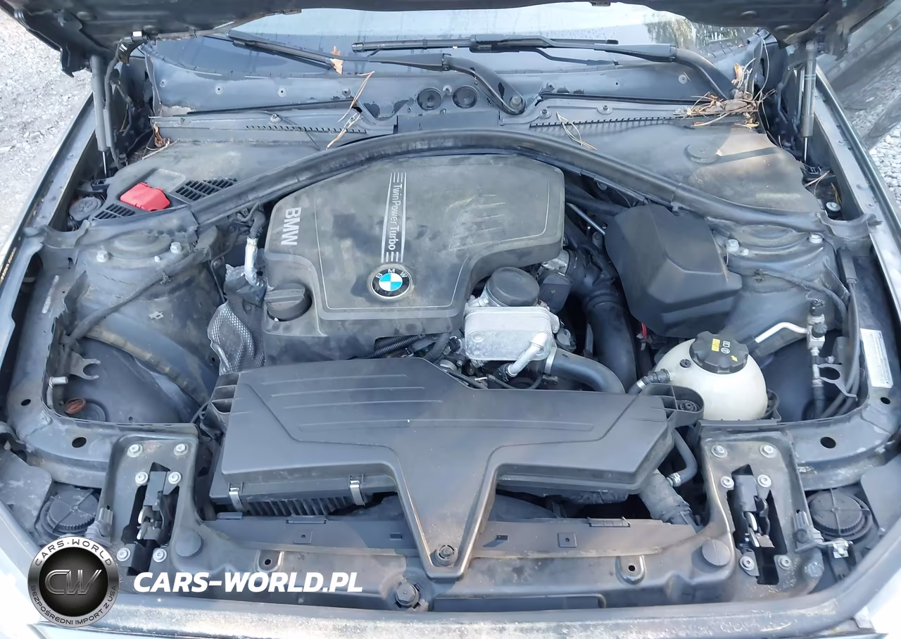 2015 BMW 228I VIN:WBA1F5C52FVW98286 - 10