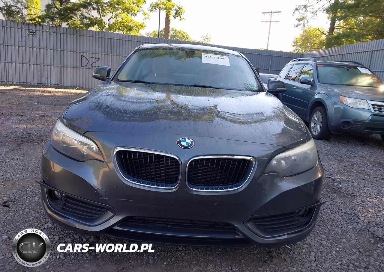 2015 BMW 228I VIN:WBA1F5C52FVW98286 - 12